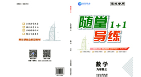 《随堂1+1》九年(nián)級數(shù)學-學用(yòng)